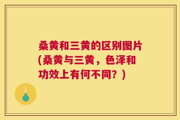 桑黄和三黄的区别图片(桑黄与三黄,色泽和功效上有何不同?) 桑黄和三黄的区别图片(桑黄与三黄,色泽和功效上有何不同?)