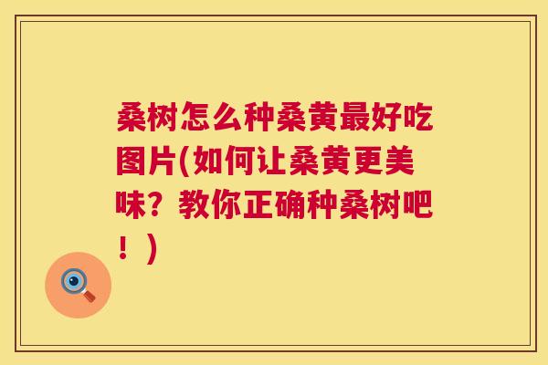 桑树怎么种桑黄好吃图片(如何让桑黄更美味?教你正确种桑树吧!) 桑树怎么种桑黄好吃图片(如何让桑黄更美味?教你正确种桑树吧!)