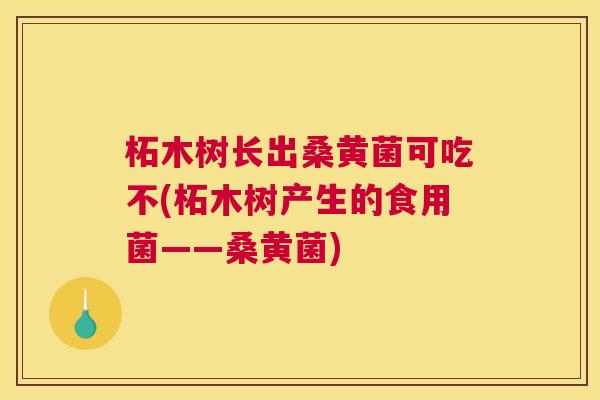 柘木树长出桑黄菌可吃不(柘木树产生的食用菌——桑黄菌) 柘木树长出桑黄菌可吃不(柘木树产生的食用菌——桑黄菌)