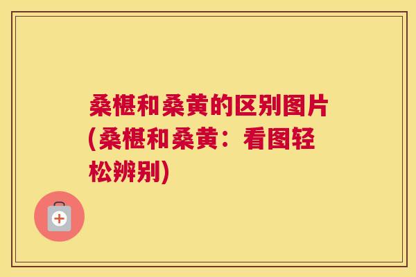 桑椹和桑黄的区别图片(桑椹和桑黄:看图轻松辨别) 桑椹和桑黄的区别图片(桑椹和桑黄:看图轻松辨别)