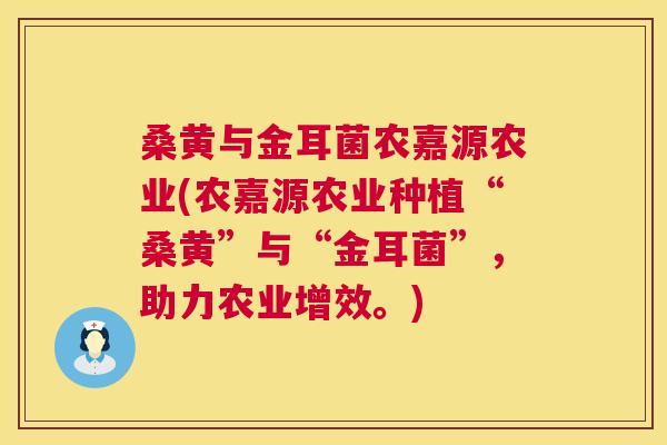 桑黄与金耳菌农嘉源农业(农嘉源农业种植“桑黄”与“金耳菌”,助力农业增效。) 桑黄与金耳菌农嘉源农业(农嘉源农业种植“桑黄”与“金耳菌”,助力农业增效。)