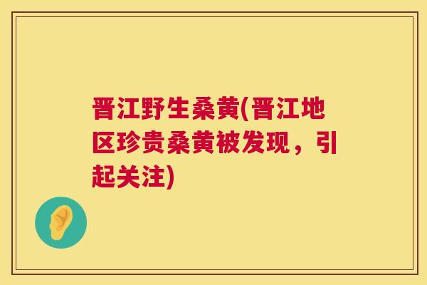 晋江野生桑黄(晋江地区珍贵桑黄被发现,引起关注) 晋江野生桑黄(晋江地区珍贵桑黄被发现,引起关注)