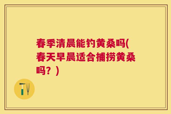 春季清晨能钓黄桑吗(春天早晨适合捕捞黄桑吗?) 春季清晨能钓黄桑吗(春天早晨适合捕捞黄桑吗?)