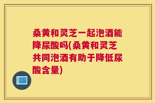桑黄和灵芝一起泡酒能降尿酸吗(桑黄和灵芝共同泡酒有助于降低尿酸含量) 桑黄和灵芝一起泡酒能降尿酸吗(桑黄和灵芝共同泡酒有助于降低尿酸含量)