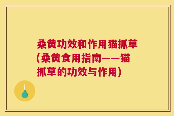 桑黄功效和作用猫抓草(桑黄食用指南——猫抓草的功效与作用) 桑黄功效和作用猫抓草(桑黄食用指南——猫抓草的功效与作用)