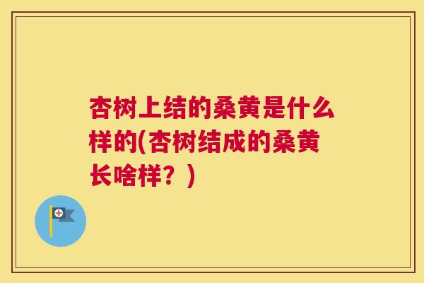 杏树上结的桑黄是什么样的(杏树结成的桑黄长啥样?) 杏树上结的桑黄是什么样的(杏树结成的桑黄长啥样?)