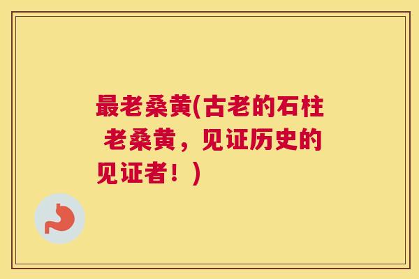 老桑黄(古老的石柱 老桑黄,见证历史的见证者!) 老桑黄(古老的石柱 老桑黄,见证历史的见证者!)