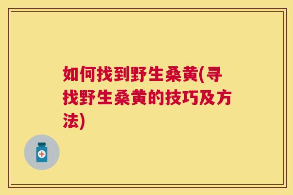 如何找到野生桑黄(寻找野生桑黄的技巧及方法) 如何找到野生桑黄(寻找野生桑黄的技巧及方法)