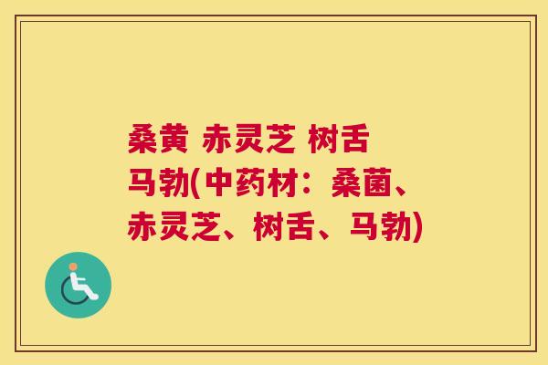 桑黄 赤灵芝 树舌 马勃(材:桑菌、赤灵芝、树舌、马勃) 桑黄 赤灵芝 树舌 马勃(材:桑菌、赤灵芝、树舌、马勃)
