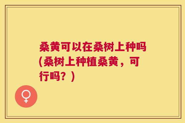 桑黄可以在桑树上种吗(桑树上种植桑黄,可行吗?) 桑黄可以在桑树上种吗(桑树上种植桑黄,可行吗?)