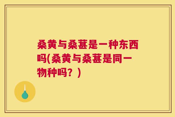 桑黄与桑葚是一种东西吗(桑黄与桑葚是同一物种吗?) 桑黄与桑葚是一种东西吗(桑黄与桑葚是同一物种吗?)