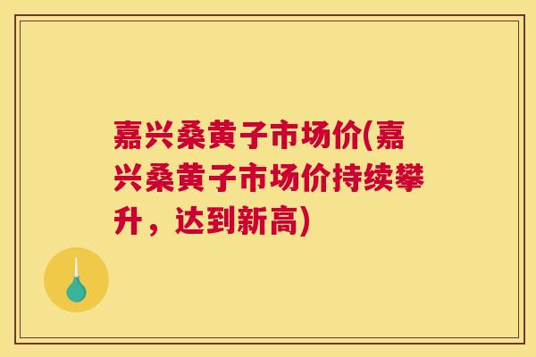 嘉兴桑黄子市场价(嘉兴桑黄子市场价持续攀升,达到新高) 嘉兴桑黄子市场价(嘉兴桑黄子市场价持续攀升,达到新高)