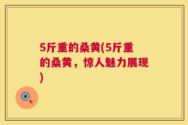 5斤重的桑黄(5斤重的桑黄,惊人魅力展现) 5斤重的桑黄(5斤重的桑黄,惊人魅力展现)