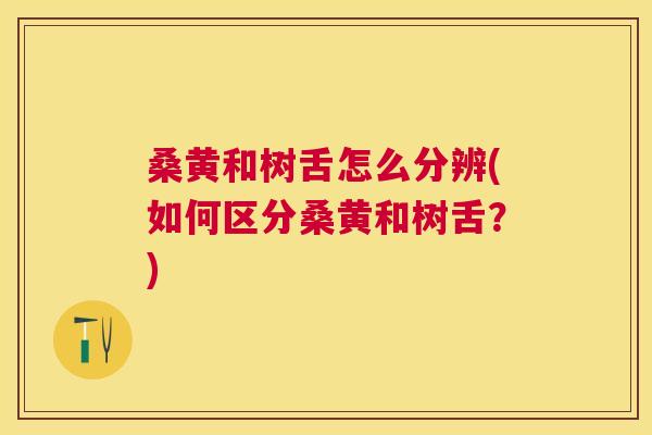 桑黄和树舌怎么分辨(如何区分桑黄和树舌？)