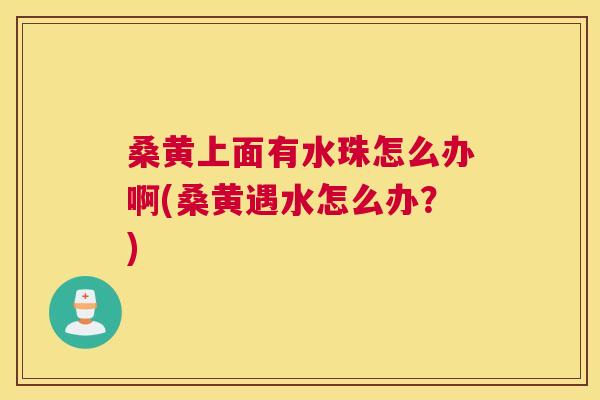 桑黄上面有水珠怎么办啊(桑黄遇水怎么办?) 桑黄上面有水珠怎么办啊(桑黄遇水怎么办?)