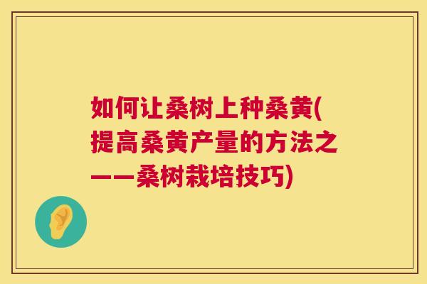 如何让桑树上种桑黄(提高桑黄产量的方法之——桑树栽培技巧) 如何让桑树上种桑黄(提高桑黄产量的方法之——桑树栽培技巧)