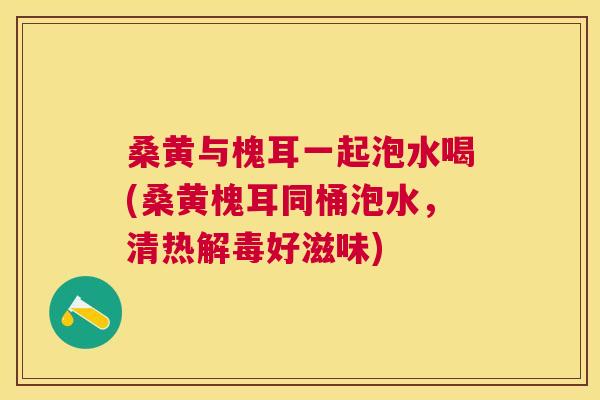 桑黄与槐耳一起泡水喝(桑黄槐耳同桶泡水,清热好滋味) 桑黄与槐耳一起泡水喝(桑黄槐耳同桶泡水,清热好滋味)