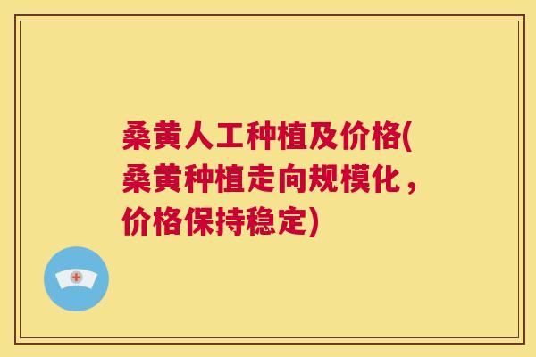 桑黄人工种植及价格(桑黄种植走向规模化,价格保持稳定) 桑黄人工种植及价格(桑黄种植走向规模化,价格保持稳定)