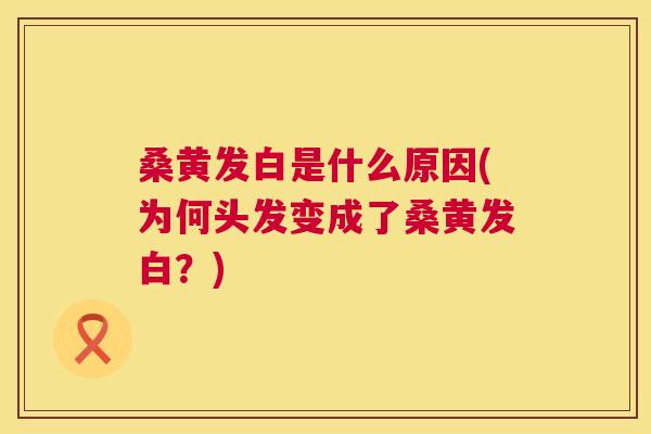 桑黄发白是什么原因(为何头发变成了桑黄发白?) 桑黄发白是什么原因(为何头发变成了桑黄发白?)