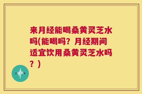 来能喝桑黄灵芝水吗(能喝吗?期间适宜饮用桑黄灵芝水吗?) 来能喝桑黄灵芝水吗(能喝吗?期间适宜饮用桑黄灵芝水吗?)