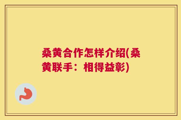 桑黄合作怎样介绍(桑黄联手：相得益彰)