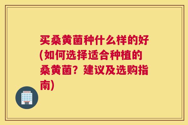 买桑黄菌种什么样的好(如何选择适合种植的桑黄菌?建议及选购指南) 买桑黄菌种什么样的好(如何选择适合种植的桑黄菌?建议及选购指南)