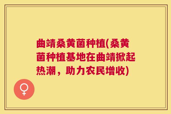 曲靖桑黄菌种植(桑黄菌种植基地在曲靖掀起热潮,助力农民增收) 曲靖桑黄菌种植(桑黄菌种植基地在曲靖掀起热潮,助力农民增收)