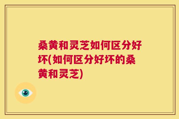 桑黄和灵芝如何区分好坏(如何区分好坏的桑黄和灵芝) 桑黄和灵芝如何区分好坏(如何区分好坏的桑黄和灵芝)