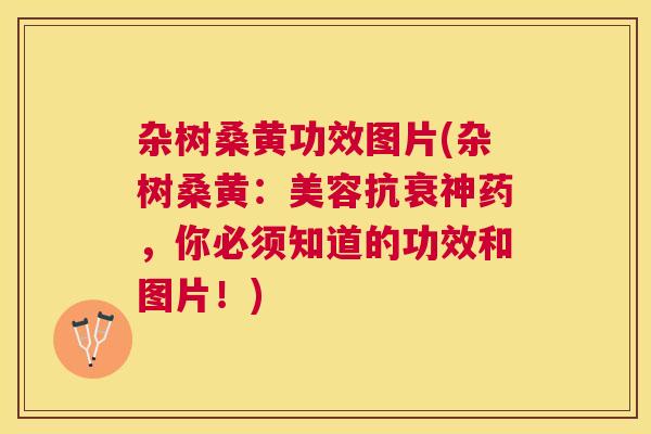 杂树桑黄功效图片(杂树桑黄:美容抗衰神药,你必须知道的功效和图片!) 杂树桑黄功效图片(杂树桑黄:美容抗衰神药,你必须知道的功效和图片!)