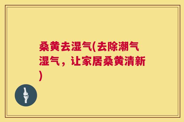 桑黄去湿气(去除潮气湿气，让家居桑黄清新)