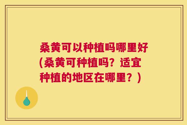 桑黄可以种植吗哪里好(桑黄可种植吗?适宜种植的地区在哪里?) 桑黄可以种植吗哪里好(桑黄可种植吗?适宜种植的地区在哪里?)