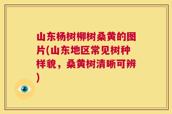 山东杨树柳树桑黄的图片(山东地区常见树种样貌,桑黄树清晰可辨) 山东杨树柳树桑黄的图片(山东地区常见树种样貌,桑黄树清晰可辨)