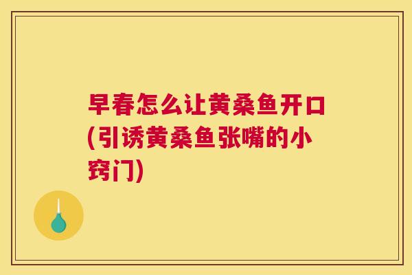 早春怎么让黄桑鱼开口(引诱黄桑鱼张嘴的小窍门) 早春怎么让黄桑鱼开口(引诱黄桑鱼张嘴的小窍门)