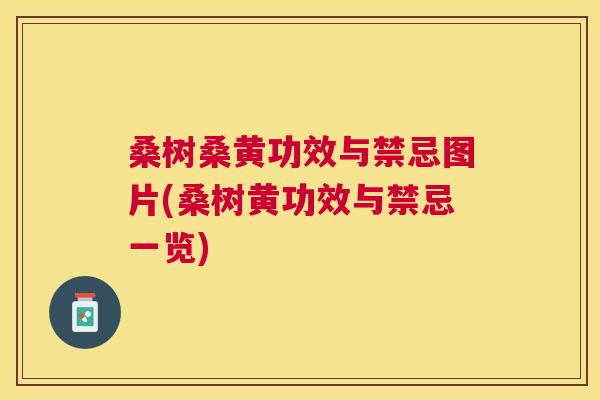 桑树桑黄功效与禁忌图片(桑树黄功效与禁忌一览) 桑树桑黄功效与禁忌图片(桑树黄功效与禁忌一览)