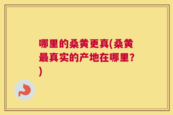 哪里的桑黄更真(桑黄真实的产地在哪里?) 哪里的桑黄更真(桑黄真实的产地在哪里?)