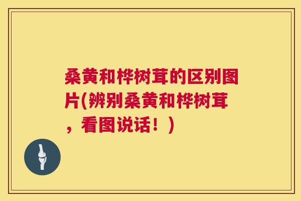 桑黄和桦树茸的区别图片(辨别桑黄和桦树茸,看图说话!) 桑黄和桦树茸的区别图片(辨别桑黄和桦树茸,看图说话!)