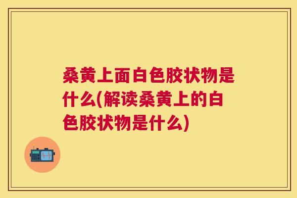 桑黄上面白色胶状物是什么(解读桑黄上的白色胶状物是什么) 桑黄上面白色胶状物是什么(解读桑黄上的白色胶状物是什么)