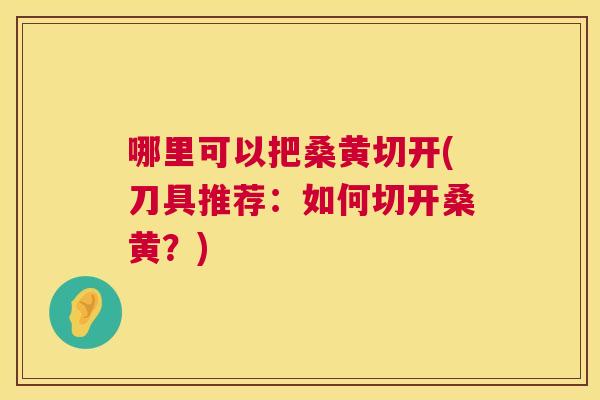 哪里可以把桑黄切开(刀具推荐:如何切开桑黄?) 哪里可以把桑黄切开(刀具推荐:如何切开桑黄?)