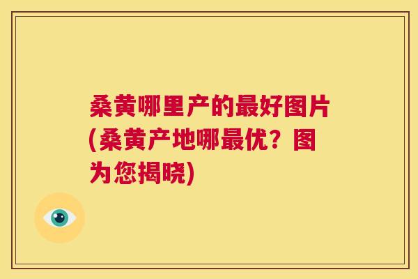 桑黄哪里产的好图片(桑黄产地哪优?图为您揭晓) 桑黄哪里产的好图片(桑黄产地哪优?图为您揭晓)