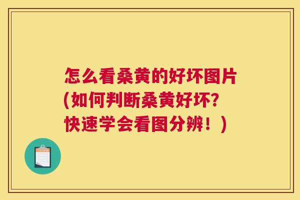 怎么看桑黄的好坏图片(如何判断桑黄好坏?快速学会看图分辨!) 怎么看桑黄的好坏图片(如何判断桑黄好坏?快速学会看图分辨!)