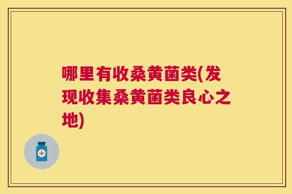 哪里有收桑黄菌类(发现收集桑黄菌类良心之地) 哪里有收桑黄菌类(发现收集桑黄菌类良心之地)