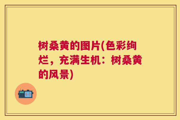 树桑黄的图片(色彩绚烂,充满生机:树桑黄的风景) 树桑黄的图片(色彩绚烂,充满生机:树桑黄的风景)