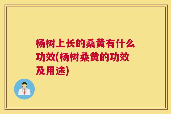 杨树上长的桑黄有什么功效(杨树桑黄的功效及用途) 杨树上长的桑黄有什么功效(杨树桑黄的功效及用途)