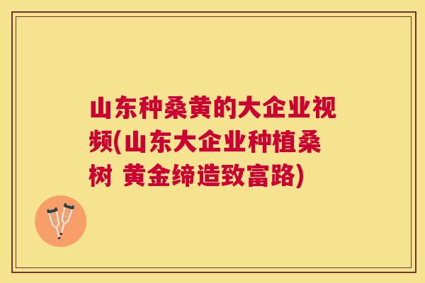 山东种桑黄的大企业视频(山东大企业种植桑树 黄金缔造致富路)
