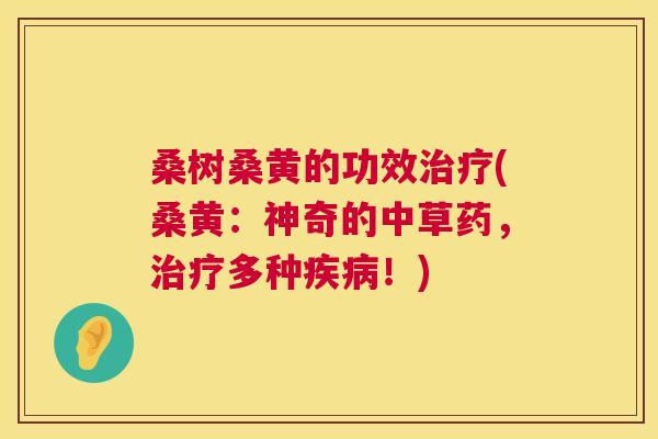 桑树桑黄的功效(桑黄:神奇的中草药,多种!) 桑树桑黄的功效(桑黄:神奇的中草药,多种!)