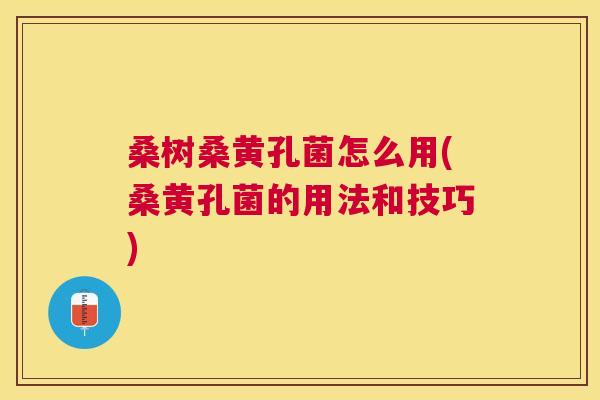 桑树桑黄孔菌怎么用(桑黄孔菌的用法和技巧) 桑树桑黄孔菌怎么用(桑黄孔菌的用法和技巧)