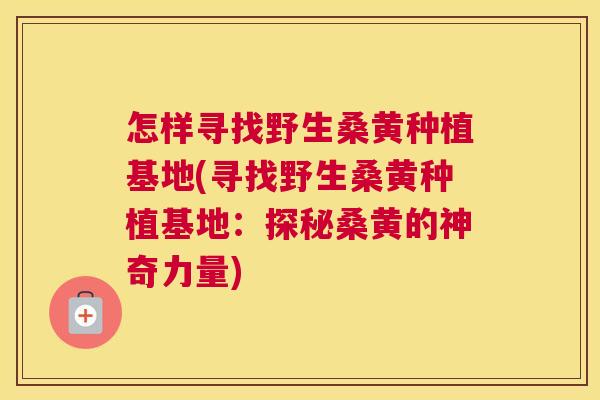 怎样寻找野生桑黄种植基地(寻找野生桑黄种植基地:探秘桑黄的神奇力量) 怎样寻找野生桑黄种植基地(寻找野生桑黄种植基地:探秘桑黄的神奇力量)