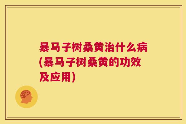 暴马子树桑黄什么(暴马子树桑黄的功效及应用) 暴马子树桑黄什么(暴马子树桑黄的功效及应用)