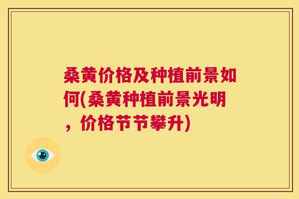 桑黄价格及种植前景如何(桑黄种植前景光明，价格节节攀升)