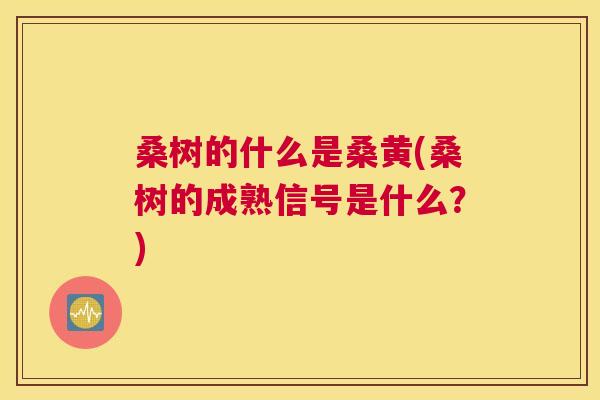 桑树的什么是桑黄(桑树的成熟信号是什么?) 桑树的什么是桑黄(桑树的成熟信号是什么?)